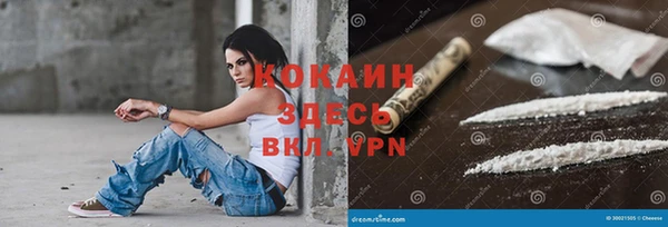 ПСИЛОЦИБИНОВЫЕ ГРИБЫ Новокубанск