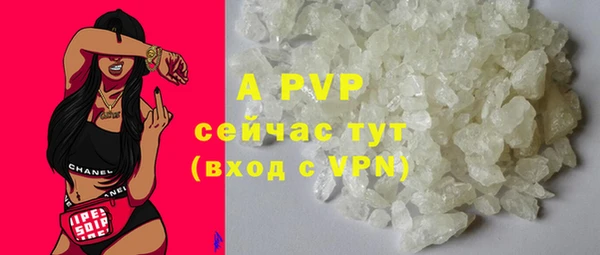 ПСИЛОЦИБИНОВЫЕ ГРИБЫ Новокубанск