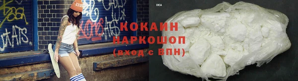 спиды Новозыбков