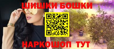 спайс Кингисепп