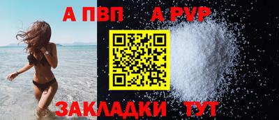 спайс Кингисепп