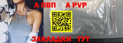 спайс Кингисепп