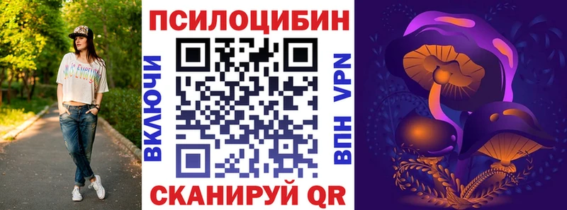 Псилоцибиновые грибы Psilocybe  магазин  наркотиков  Красноярск 