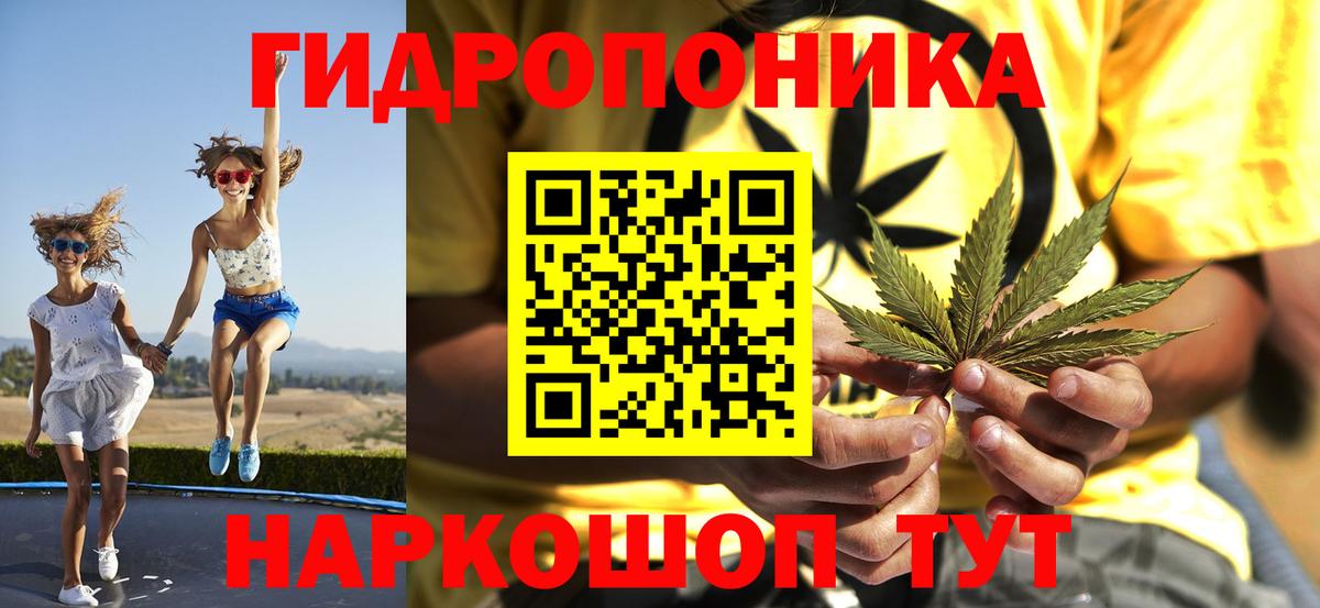 Бошки Шишки планчик Красноярск