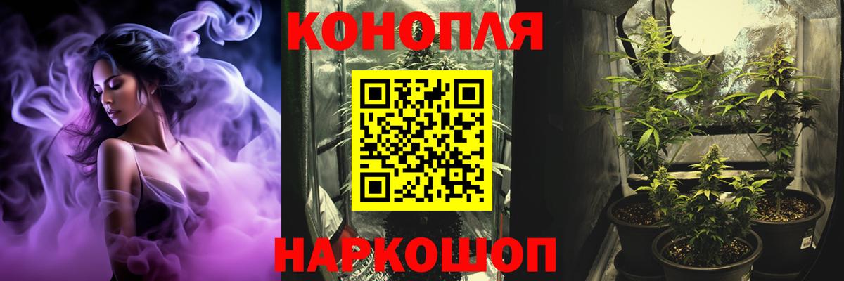 Марихуана планчик  Конопля OG Kush  Вход с VPN  Красноярск 